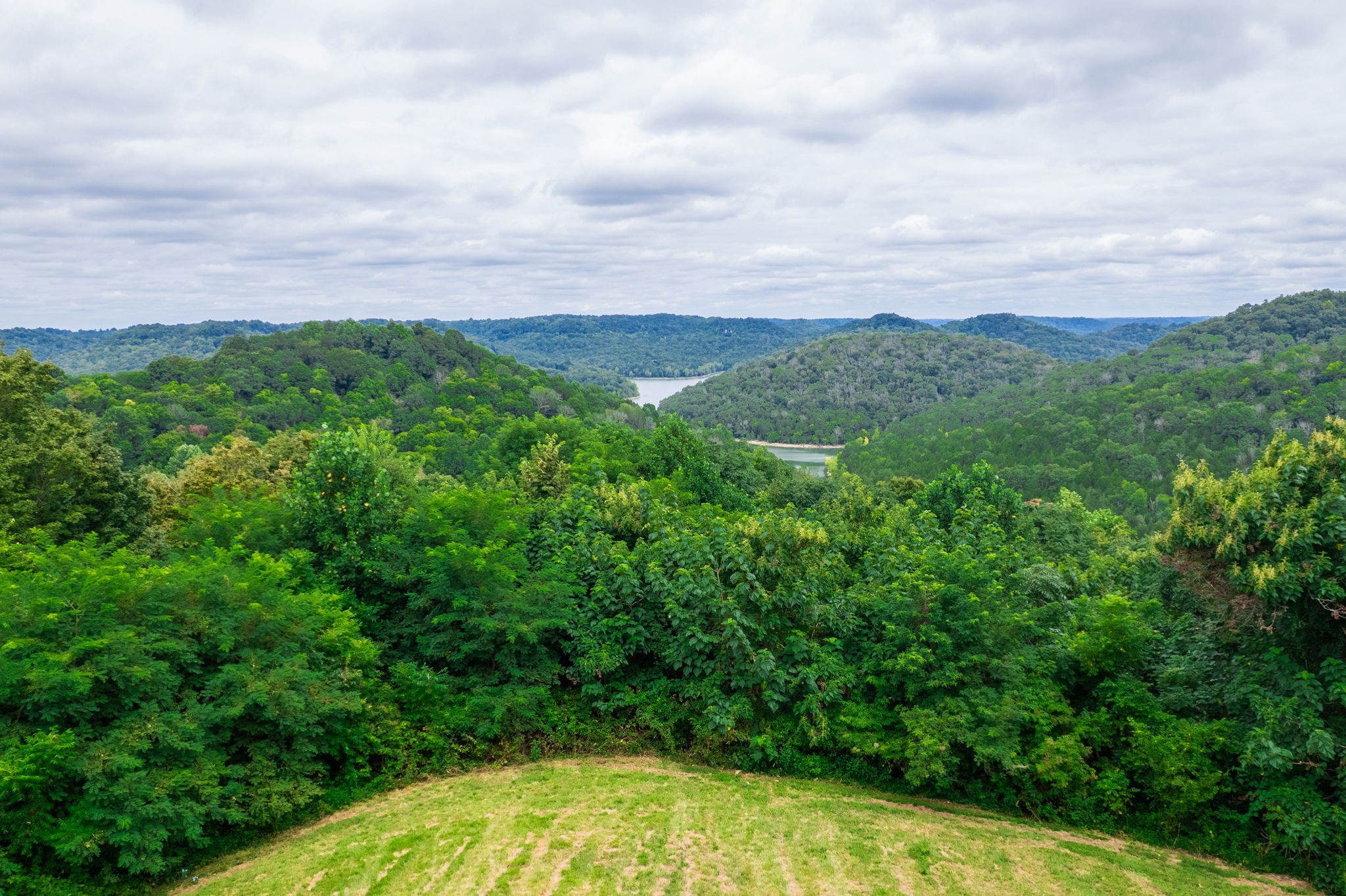 4445 Hurricane Ridge Road Smithville, TN 37166 - Photo 73 of 84 a view of a big yard with plants and a large tree