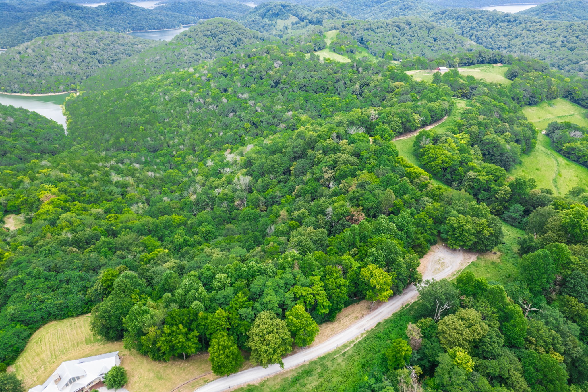 4445 Hurricane Ridge Road Smithville, TN 37166 - Photo 78 of 84 a close up of a lush green forest
