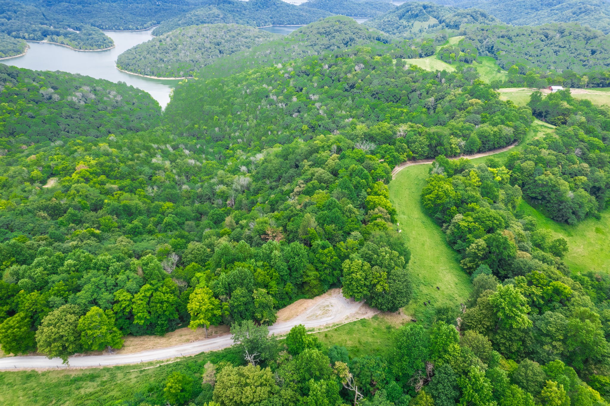 4445 Hurricane Ridge Road Smithville, TN 37166 - Photo 79 of 84