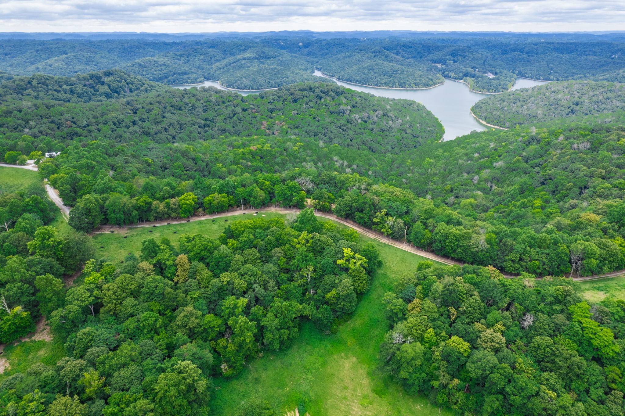 4445 Hurricane Ridge Road Smithville, TN 37166 - Photo 82 of 84 a view of a lush green forest with trees and some houses