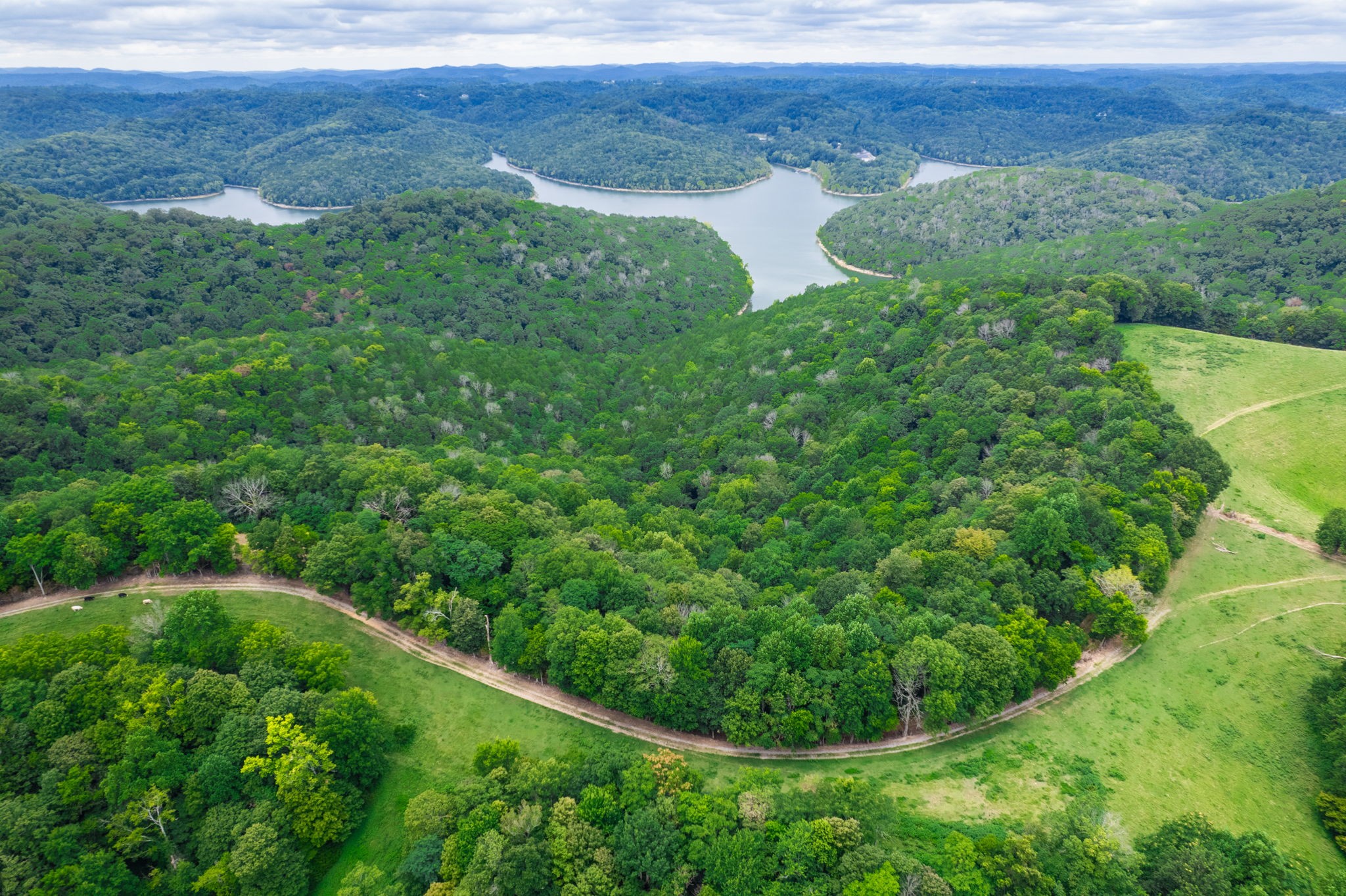 4445 Hurricane Ridge Road Smithville, TN 37166 - Photo 83 of 84 a view of a lush green field