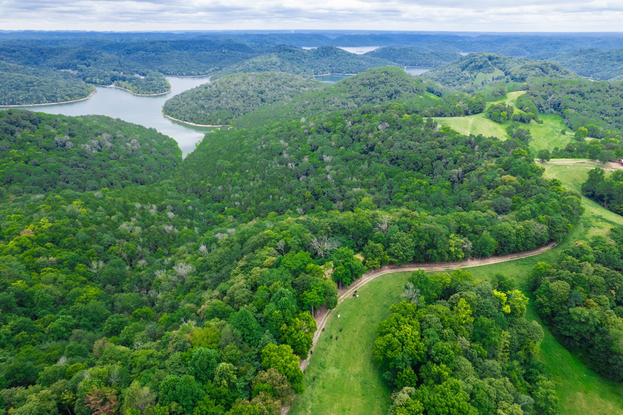 4445 Hurricane Ridge Road Smithville, TN 37166 - Photo 84 of 84