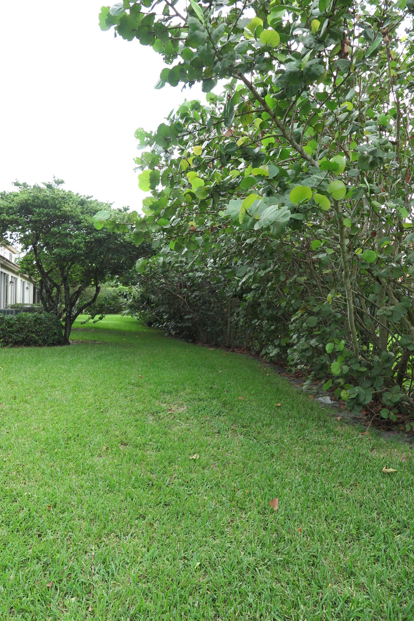 6756 Via Regina Boca Raton, FL 33433 - Photo 19 of 20 View