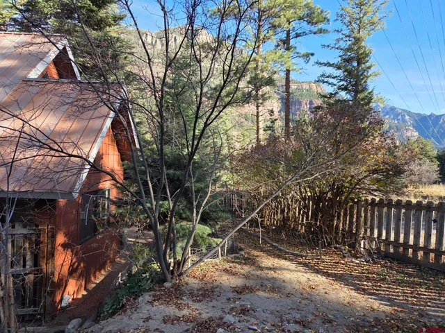 a view of a yard with plants and trees