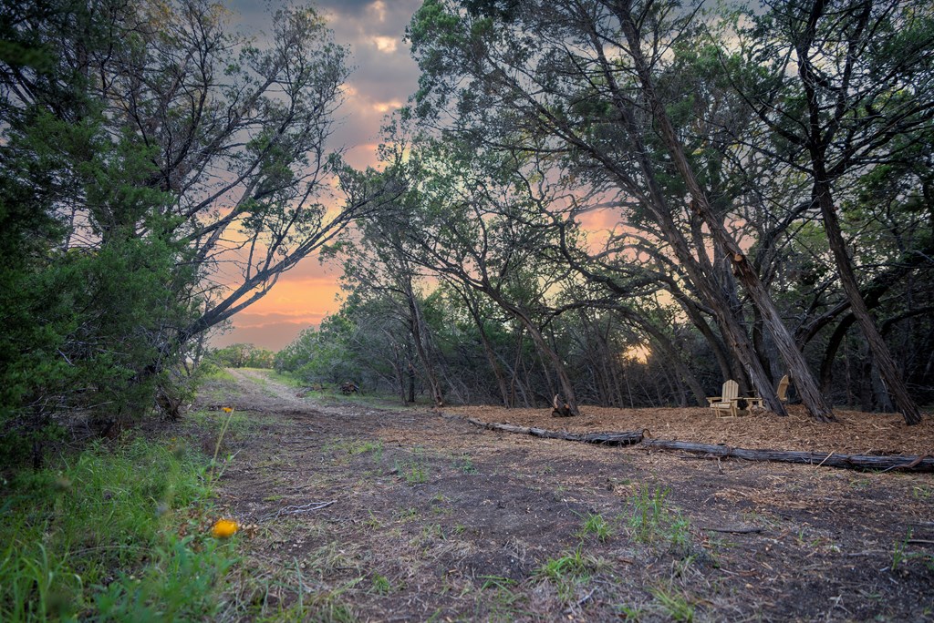 1347 Gold Road Wimberley, TX 78676 - Photo 17 of 39 Gallery Image 17