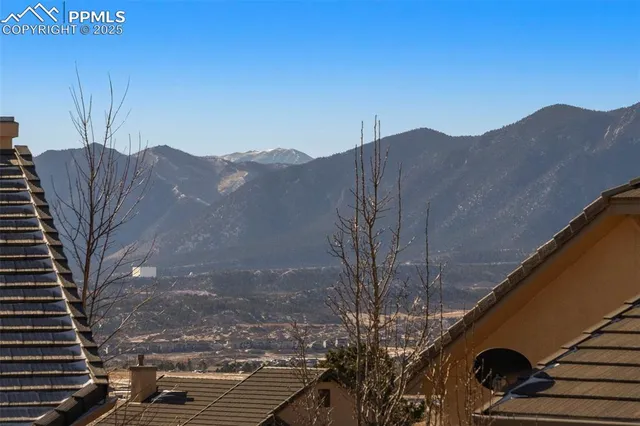 a view of a tree in a field