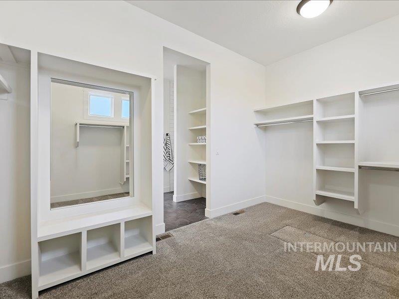 3882 West Haverhill Street Eagle, ID 83616 - Photo 26 of 41 Walk in closet featuring light colored carpet