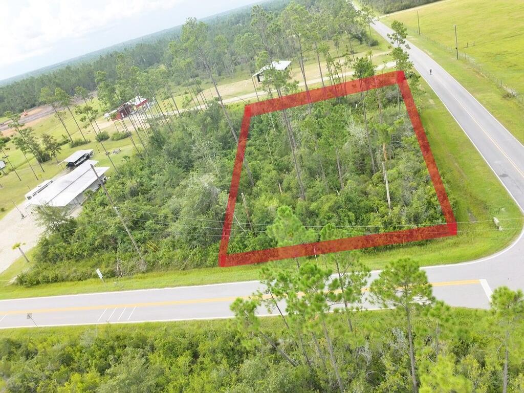 Lot 1 Borders Road Wewahitchka, FL 32465 - Photo 1 of 8 Gallery Image 1