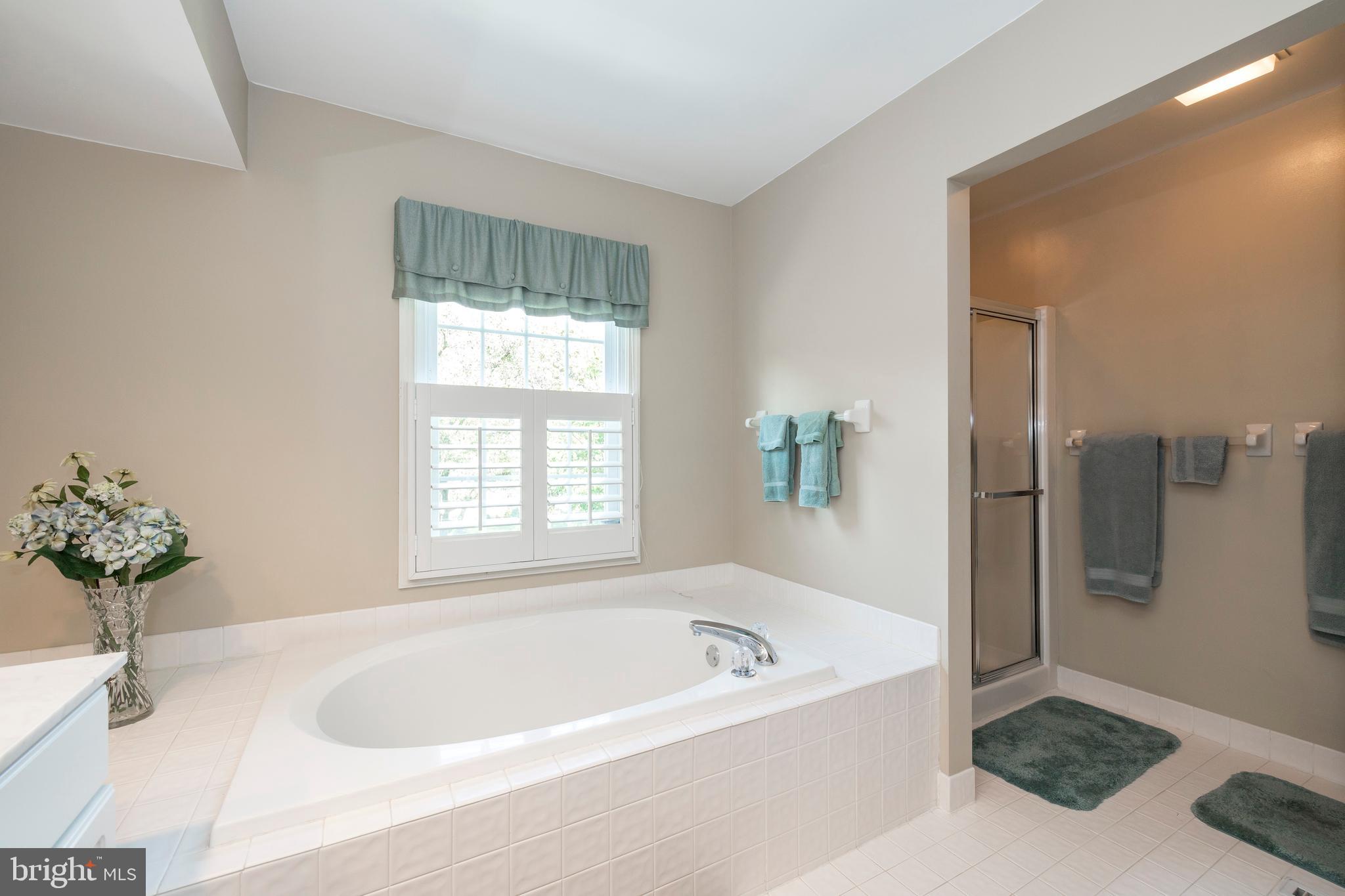 168 Carters Grove Malvern, PA 19355 - Photo 23 of 33 Master Bath