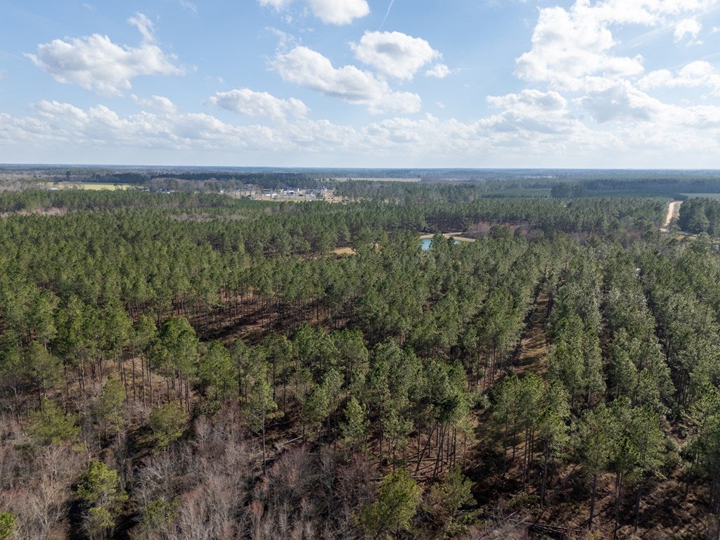 1617 White Pond Road Nashville, GA 31639 - Photo 65 of 86 Gallery Image 65