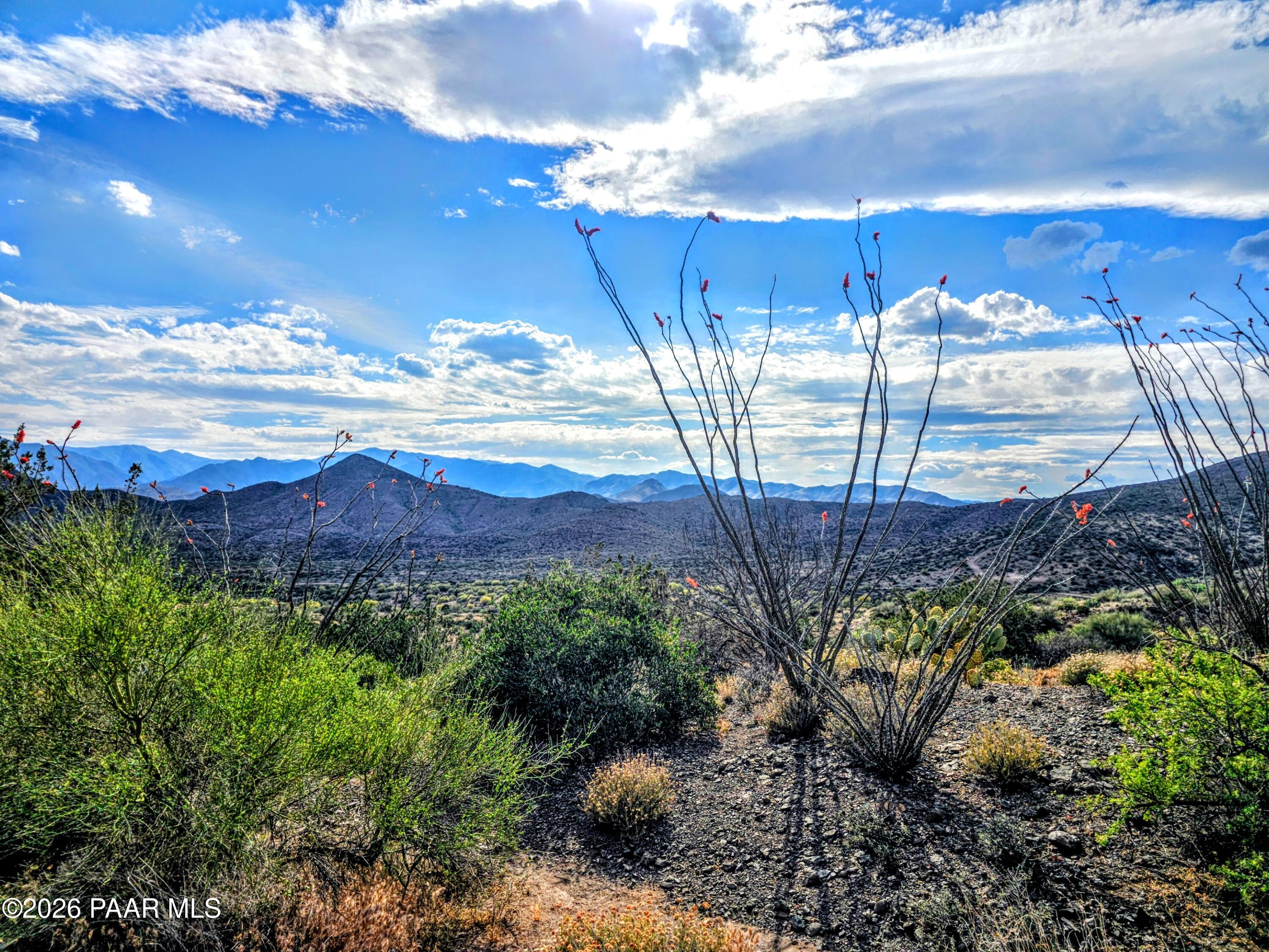 17200 South Dripping Springs Road Mayer, AZ 86333 - Photo 38 of 48 20260410_160351~2