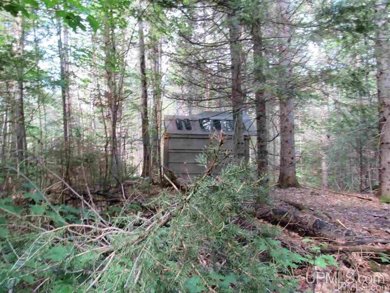 Tbd Tbd Off Stagecoach Road Michigamme, MI 49861 - Photo 35 of 37
