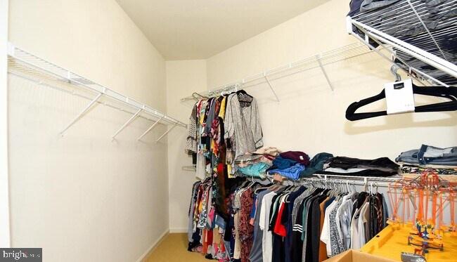 25009 Virginia Pine Court Chantilly, VA 20152 - Photo 24 of 42