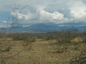 Halite Road Golden Valley, AZ 86413 - Photo 1 of 5 Primary Photo