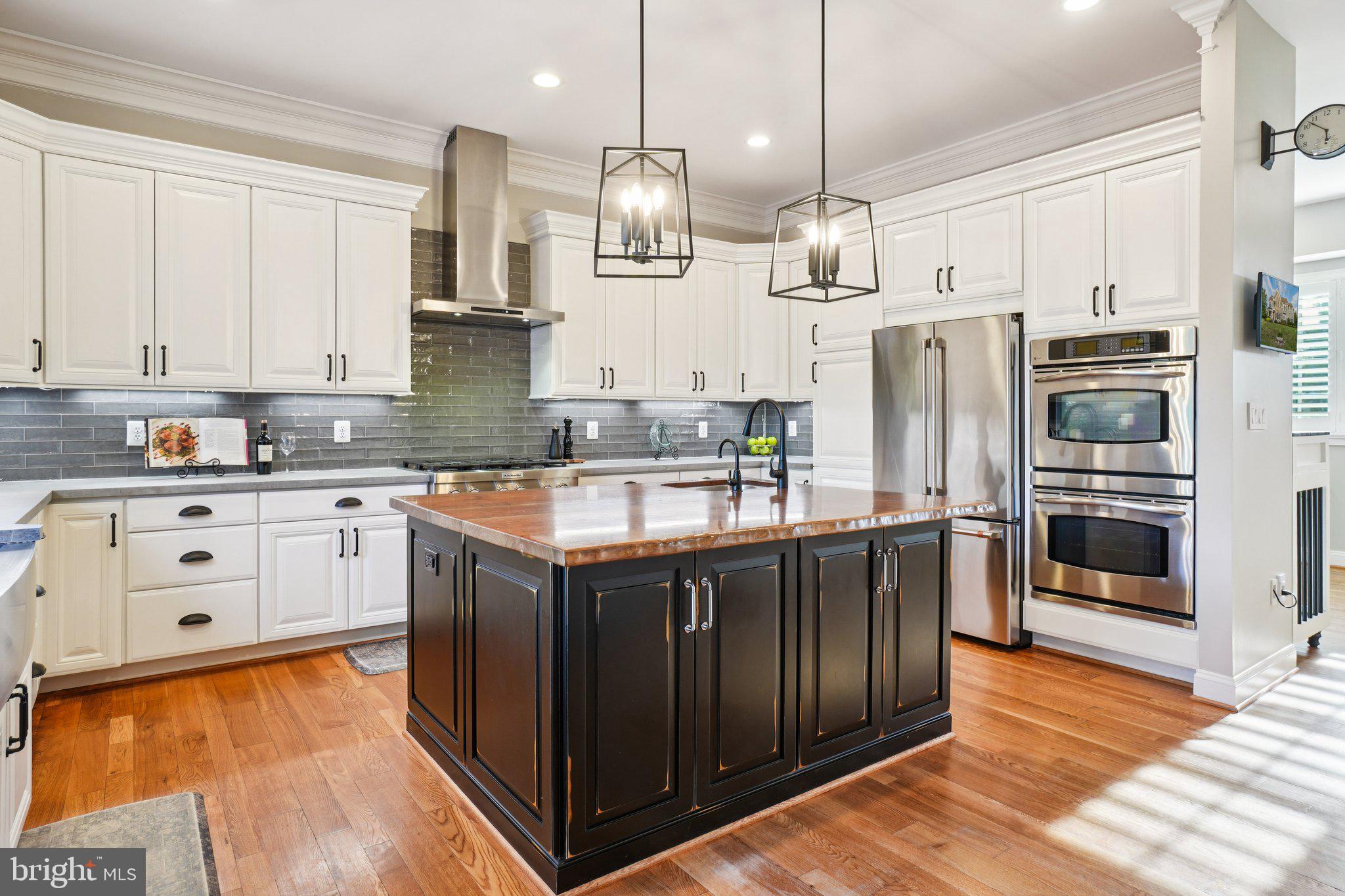 20872 Eckbo Drive Leesburg, VA 20175 - Photo 14 of 96 Gourmet Chef's Kitchen with so many upgrades