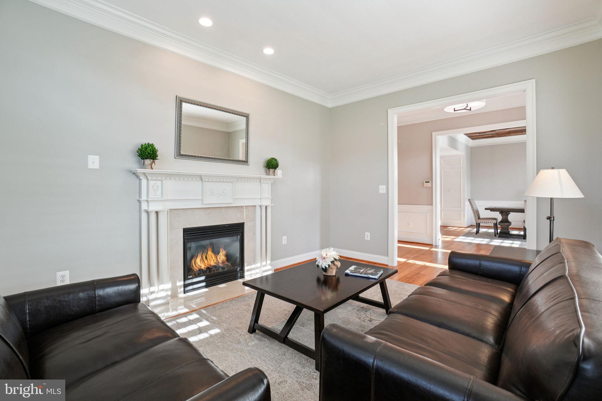 20872 Eckbo Drive Leesburg, VA 20175 - Photo 30 of 96 Elegant Living Room with Gas Fireplace