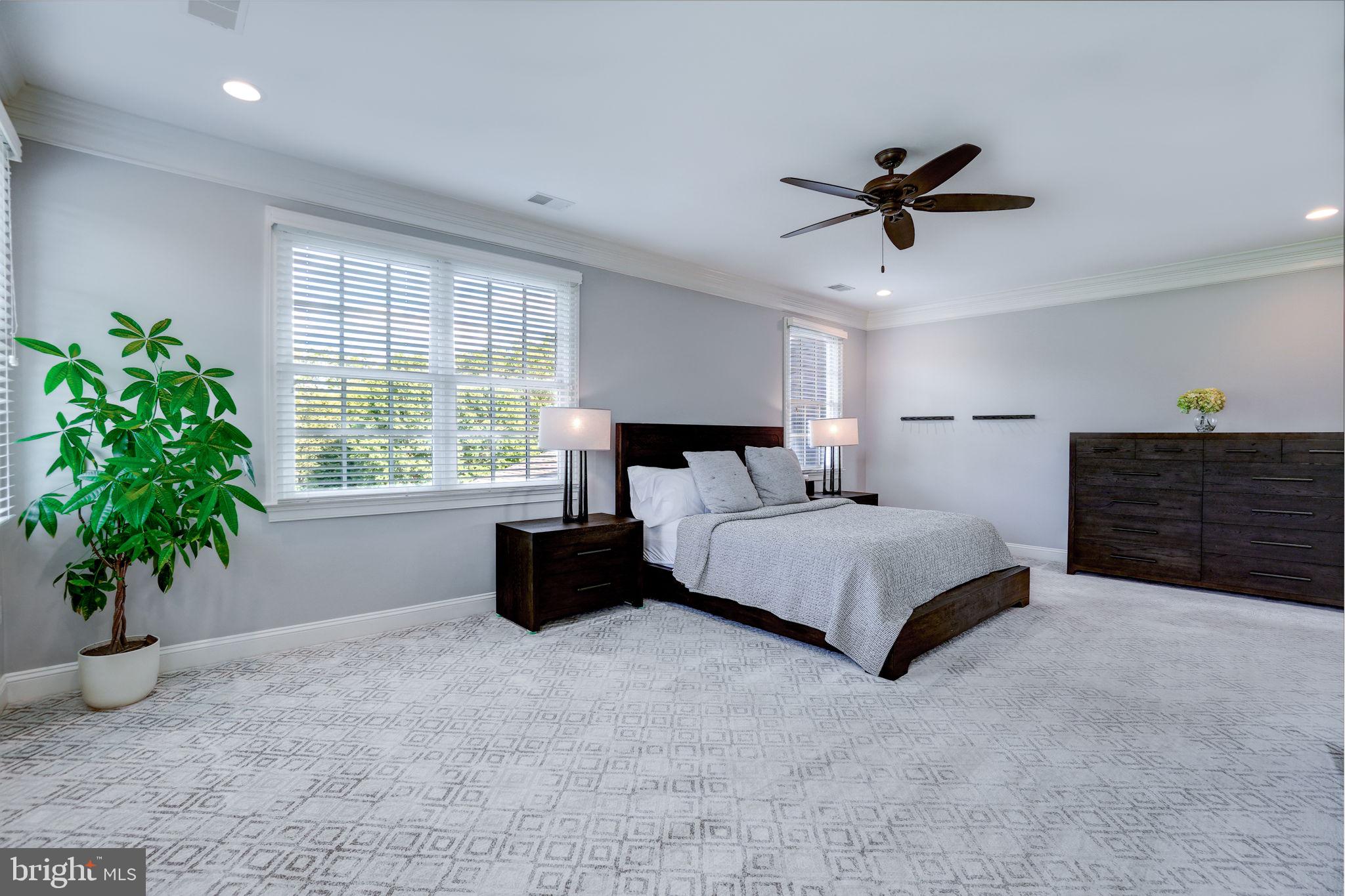 20872 Eckbo Drive Leesburg, VA 20175 - Photo 41 of 96 Primary Suite with Crown Molding