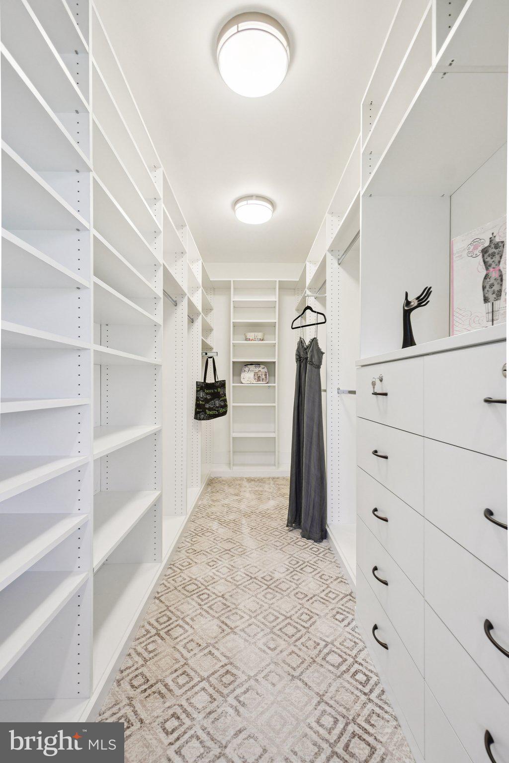 20872 Eckbo Drive Leesburg, VA 20175 - Photo 43 of 96 Huge Custom Closet
