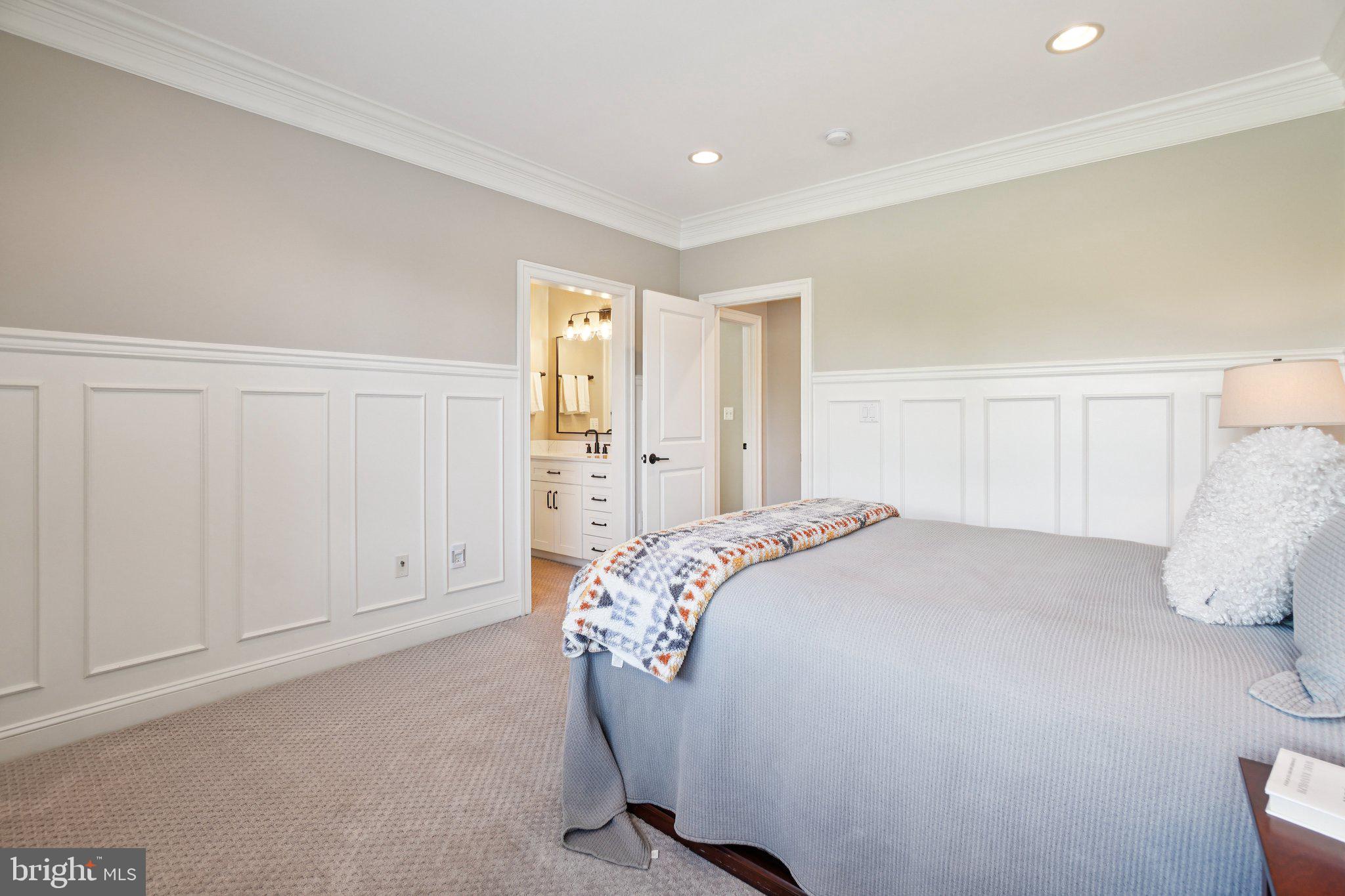 20872 Eckbo Drive Leesburg, VA 20175 - Photo 55 of 96 Extensive Moldings