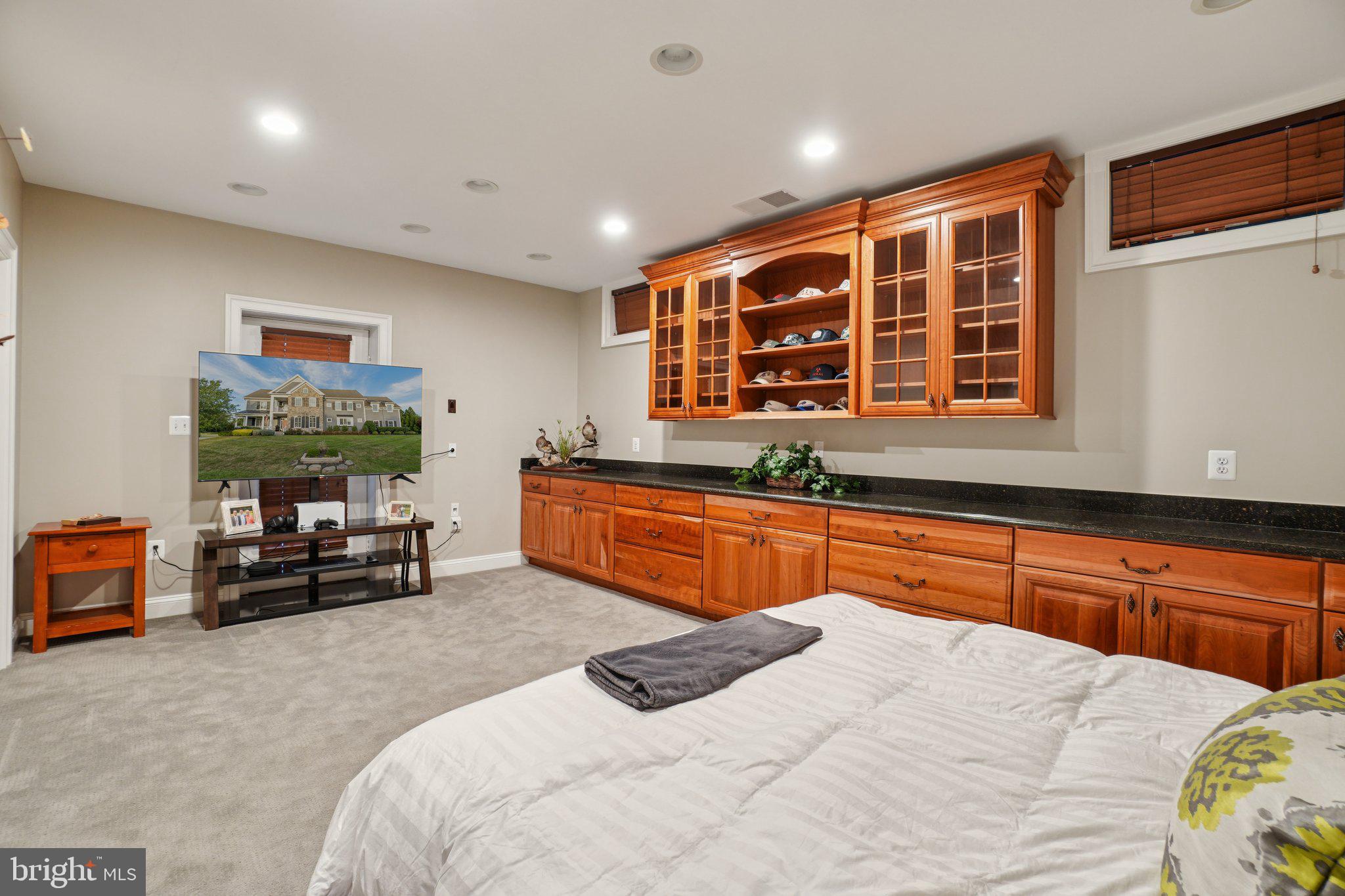 20872 Eckbo Drive Leesburg, VA 20175 - Photo 67 of 96 5th Bedroom with private entrance - walk out