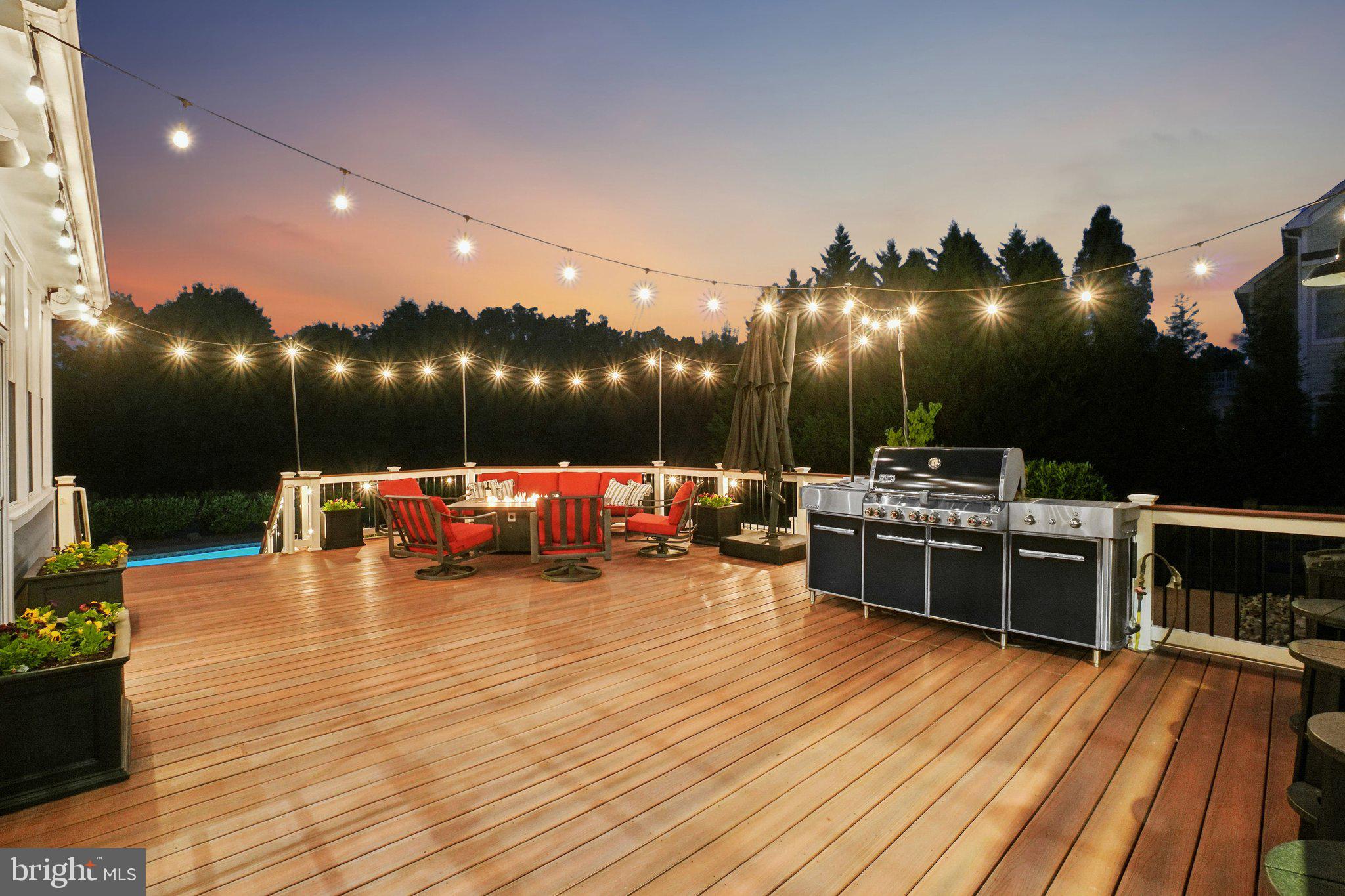20872 Eckbo Drive Leesburg, VA 20175 - Photo 78 of 96 perfect to entertain under the stars