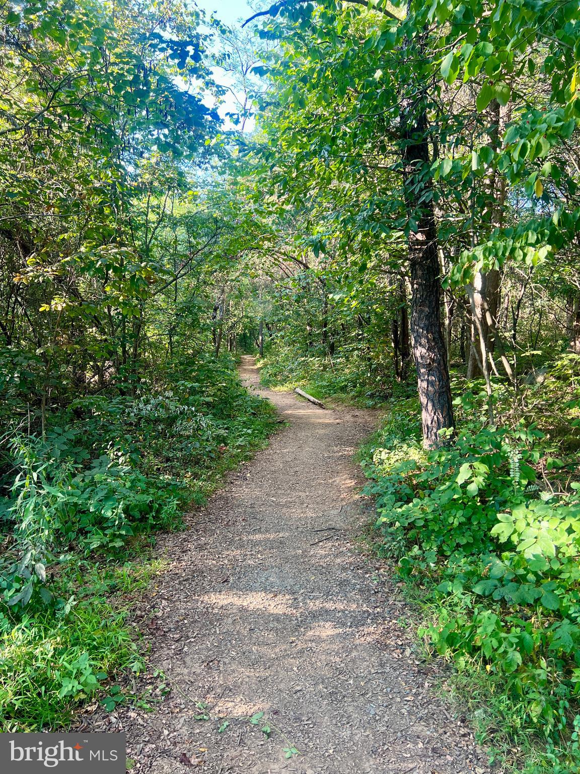 20872 Eckbo Drive Leesburg, VA 20175 - Photo 86 of 96 access the trail in the neighborhood
