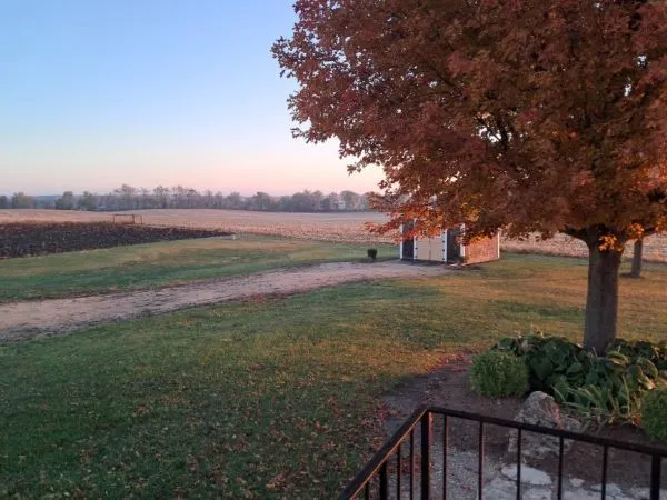 a view of a yard with a house