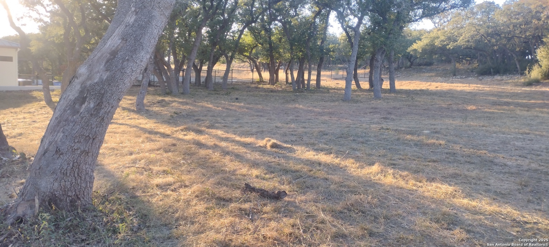 954 Maximino Rdg Road Bulverde, TX 78163 - Photo 3 of 5 a view of large trees with yard