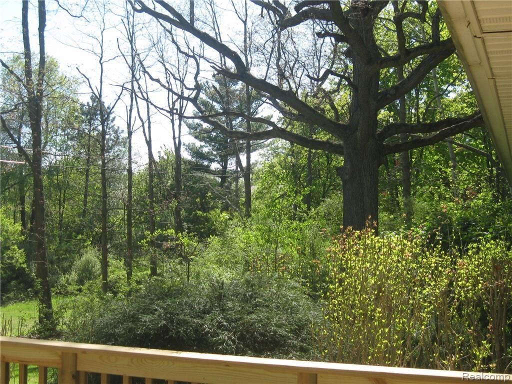7251 Rattalee Lake Road Clarkston, MI 48348 - Photo 63 of 80 IMG_7074.JPG