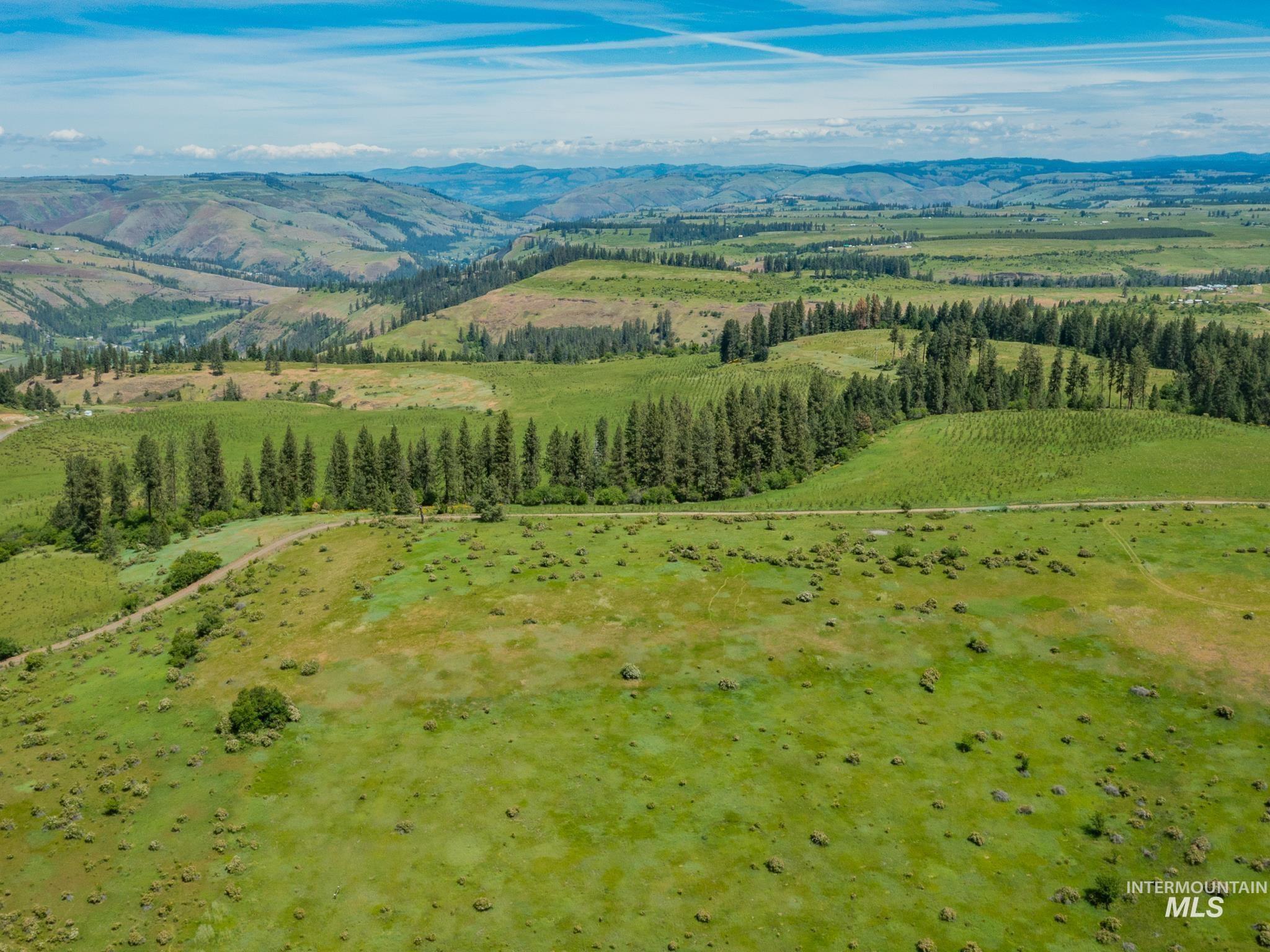 Tbd Brotnov Road Stites, ID 83552 - Photo 14 of 27 Gallery Image 14