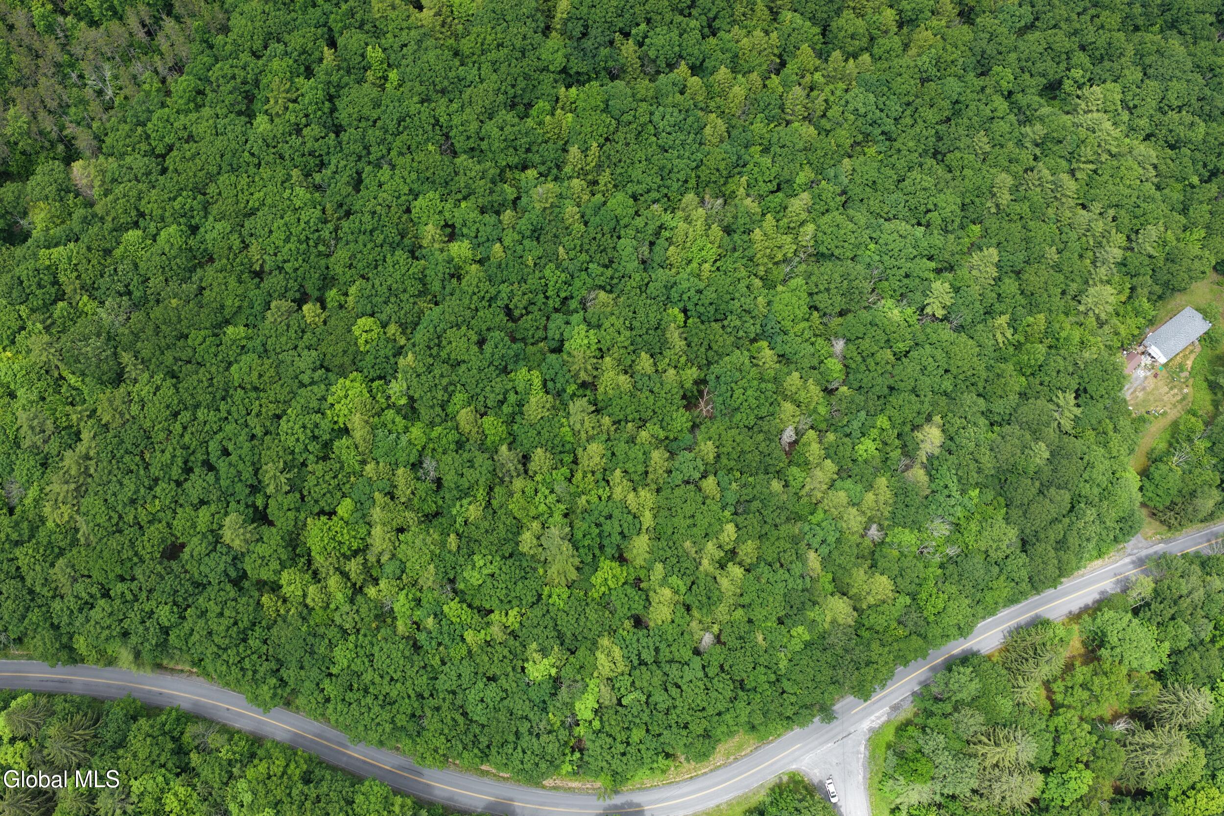 L1.00 Cotton Hill Road Middleburgh, NY 12122 - Photo 7 of 17 dji_20260616013724_0053_d