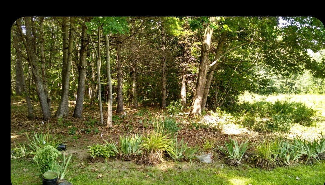 20 Rowdy Lane Burnham, ME 04922 - Photo 34 of 39 1000017824