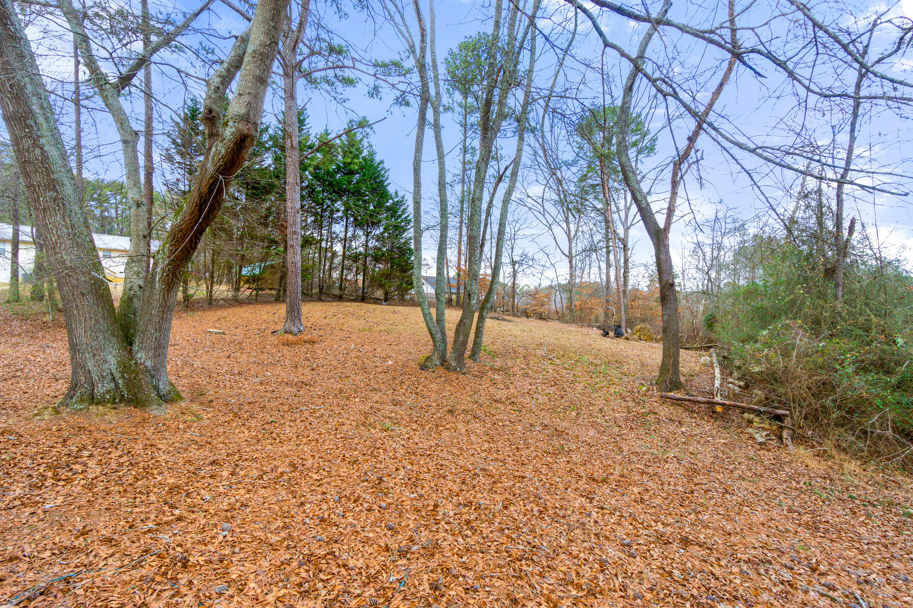 310 Ridgecrest Drive LaFayette, GA 30728 - Photo 41 of 44 310 Ridgecrest Dr-5