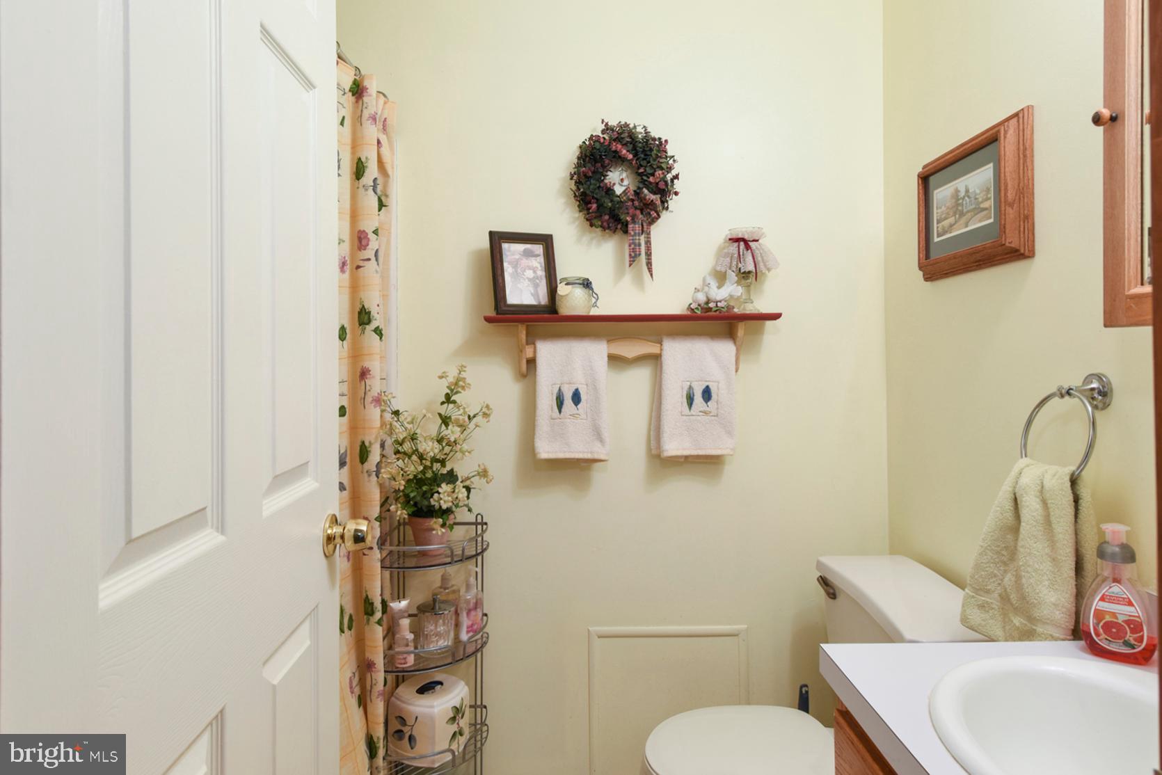 369 Hutton Road Elkton, MD 21921 - Photo 27 of 42 Main Floor Bath