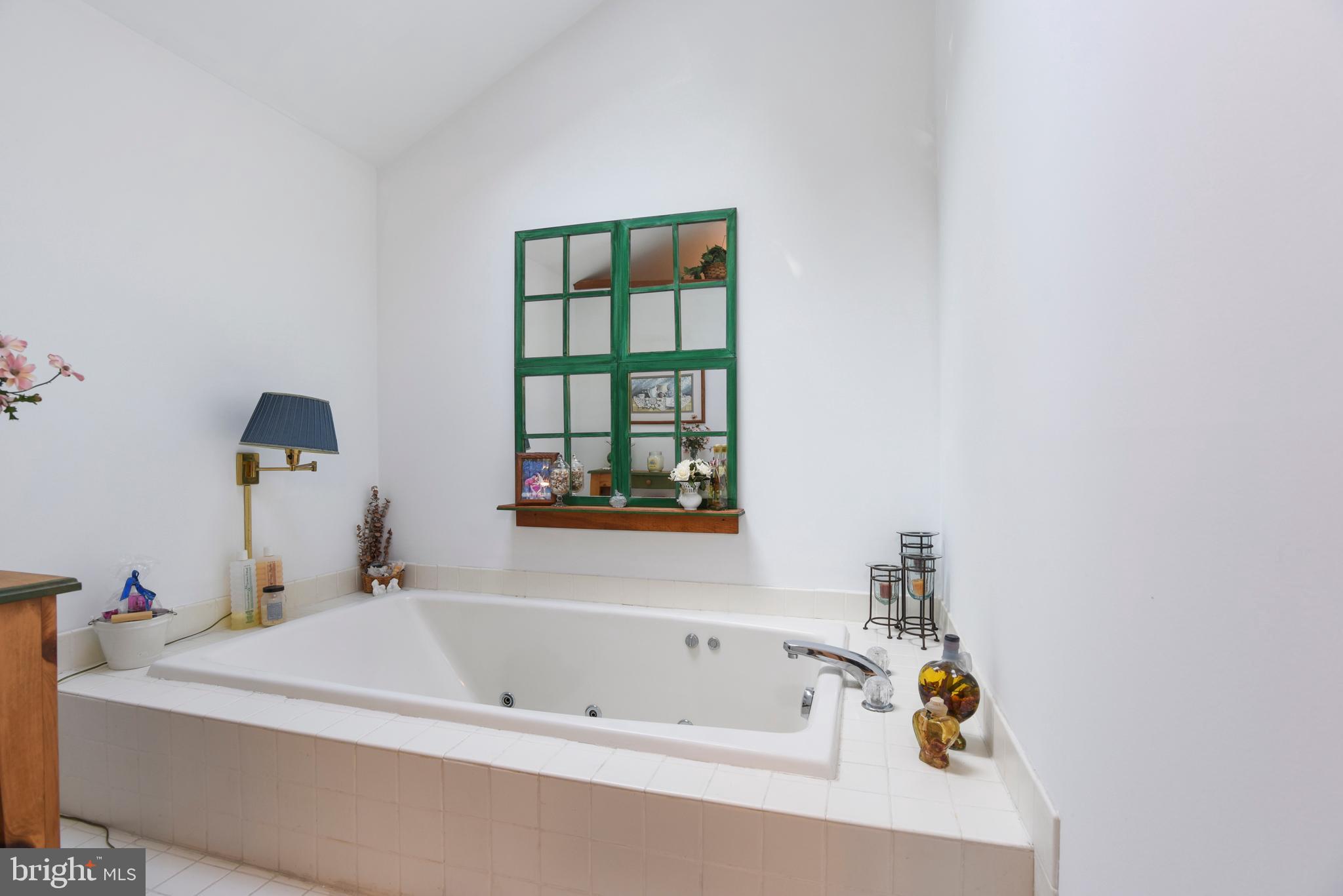 369 Hutton Road Elkton, MD 21921 - Photo 36 of 42 Master Bath sunken, jetted tub