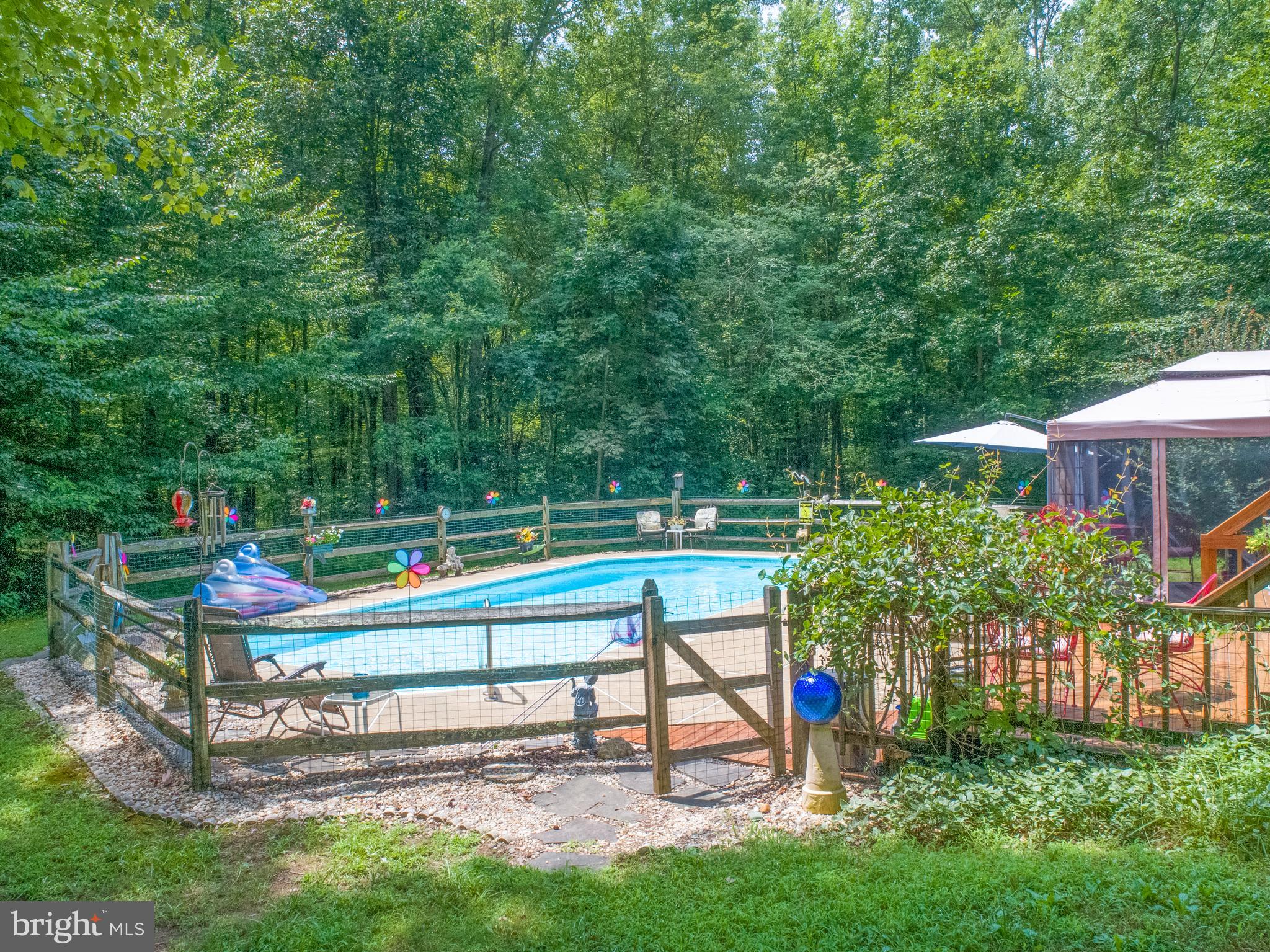 369 Hutton Road Elkton, MD 21921 - Photo 6 of 42 Beautiful Pool area