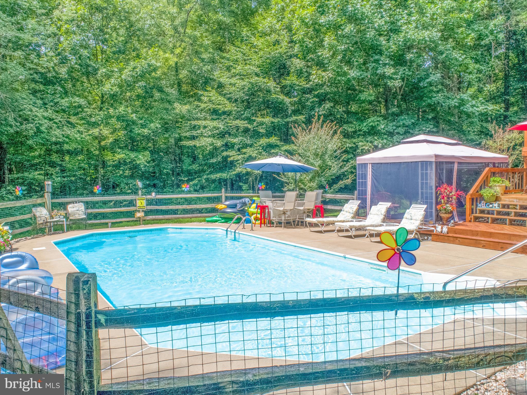 369 Hutton Road Elkton, MD 21921 - Photo 7 of 42 Nice shot of the pool