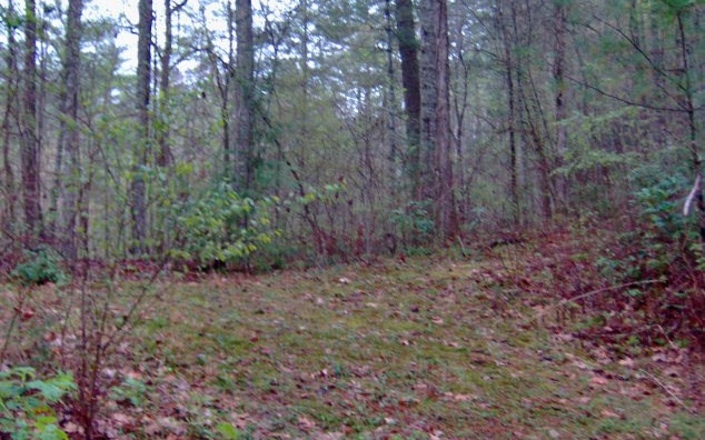 Additional View