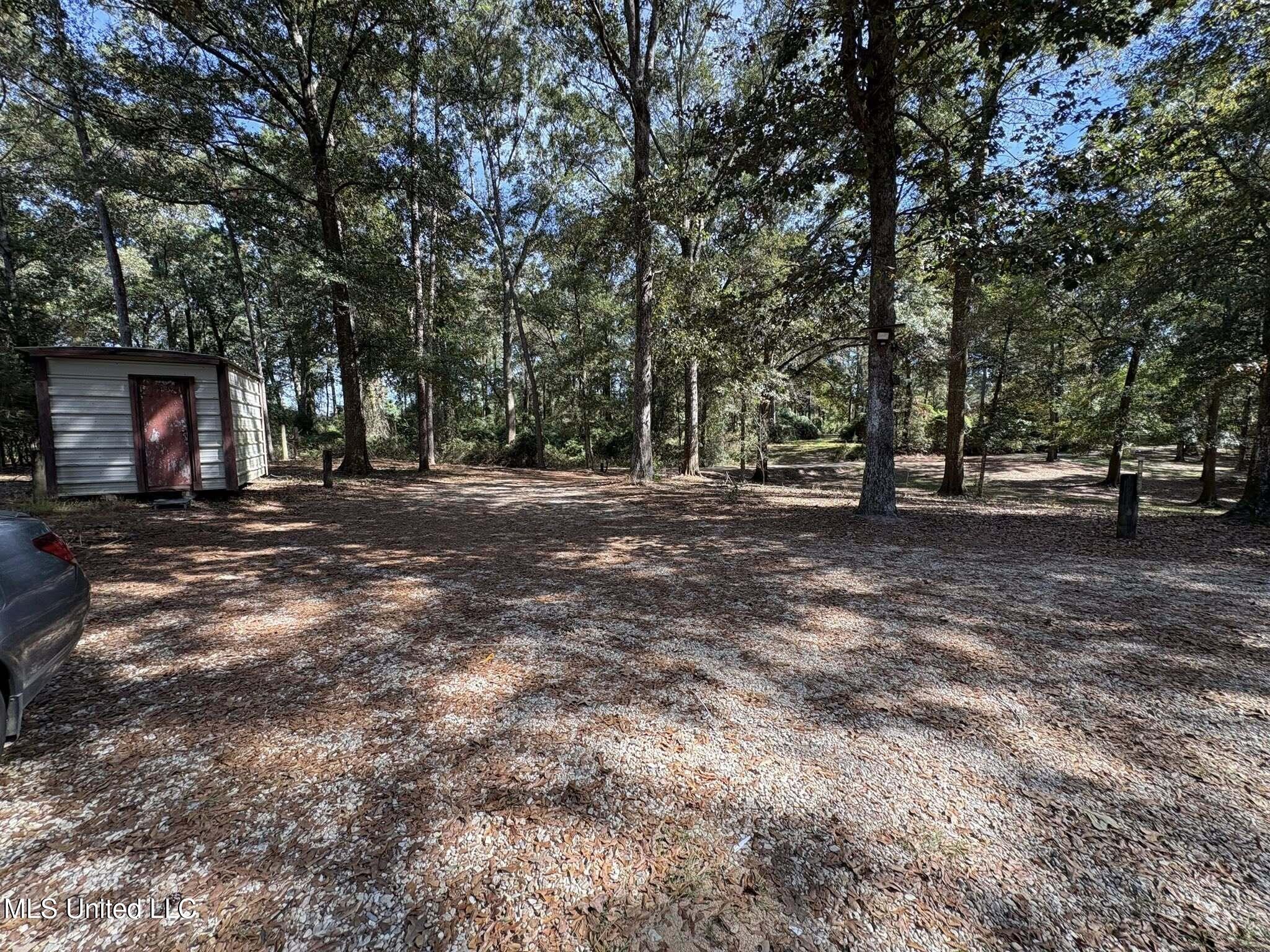 104 Matthew Johnson Road Wiggins, MS 39577 - Photo 24 of 37 yard2