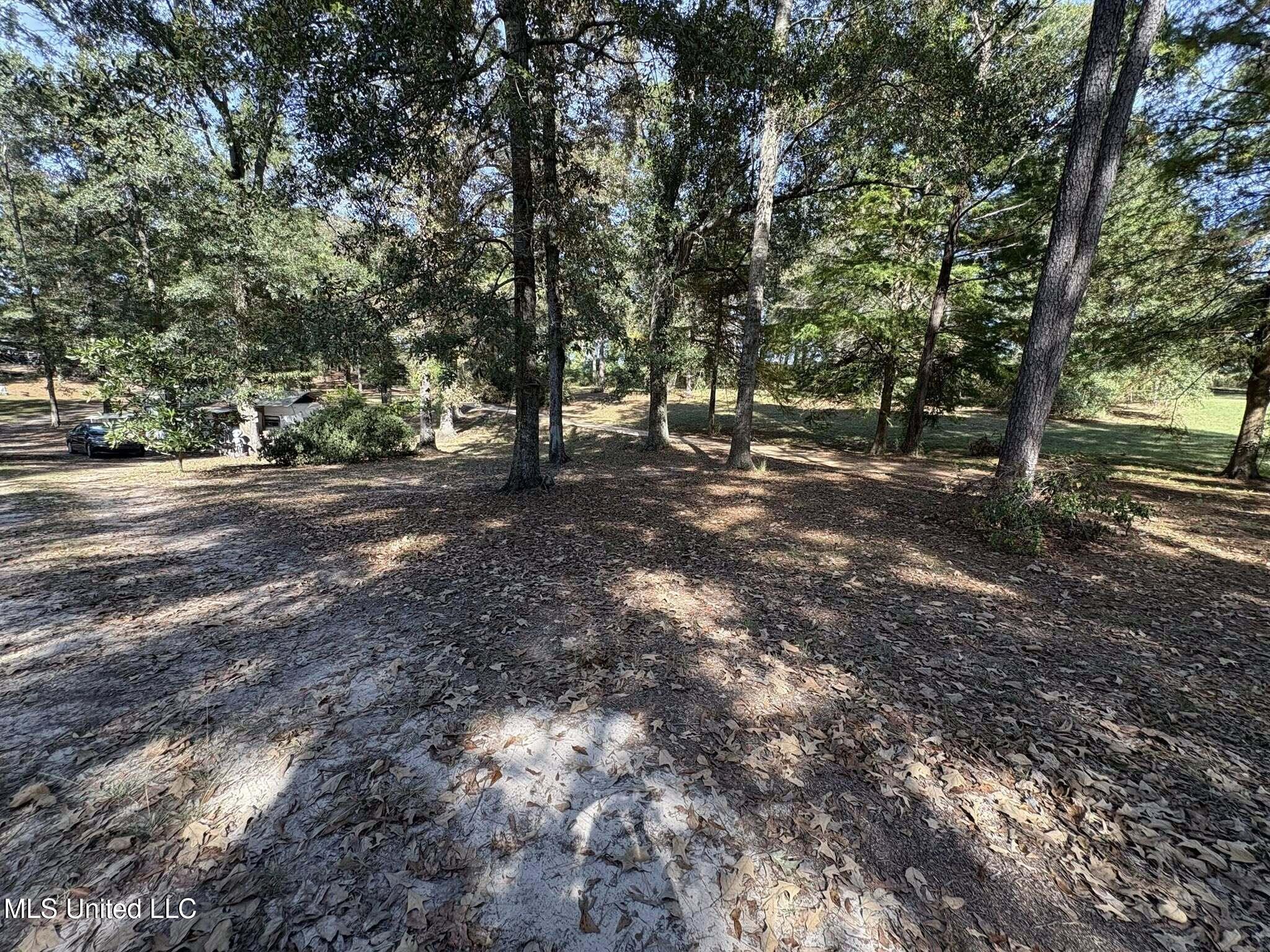 104 Matthew Johnson Road Wiggins, MS 39577 - Photo 25 of 37 yard