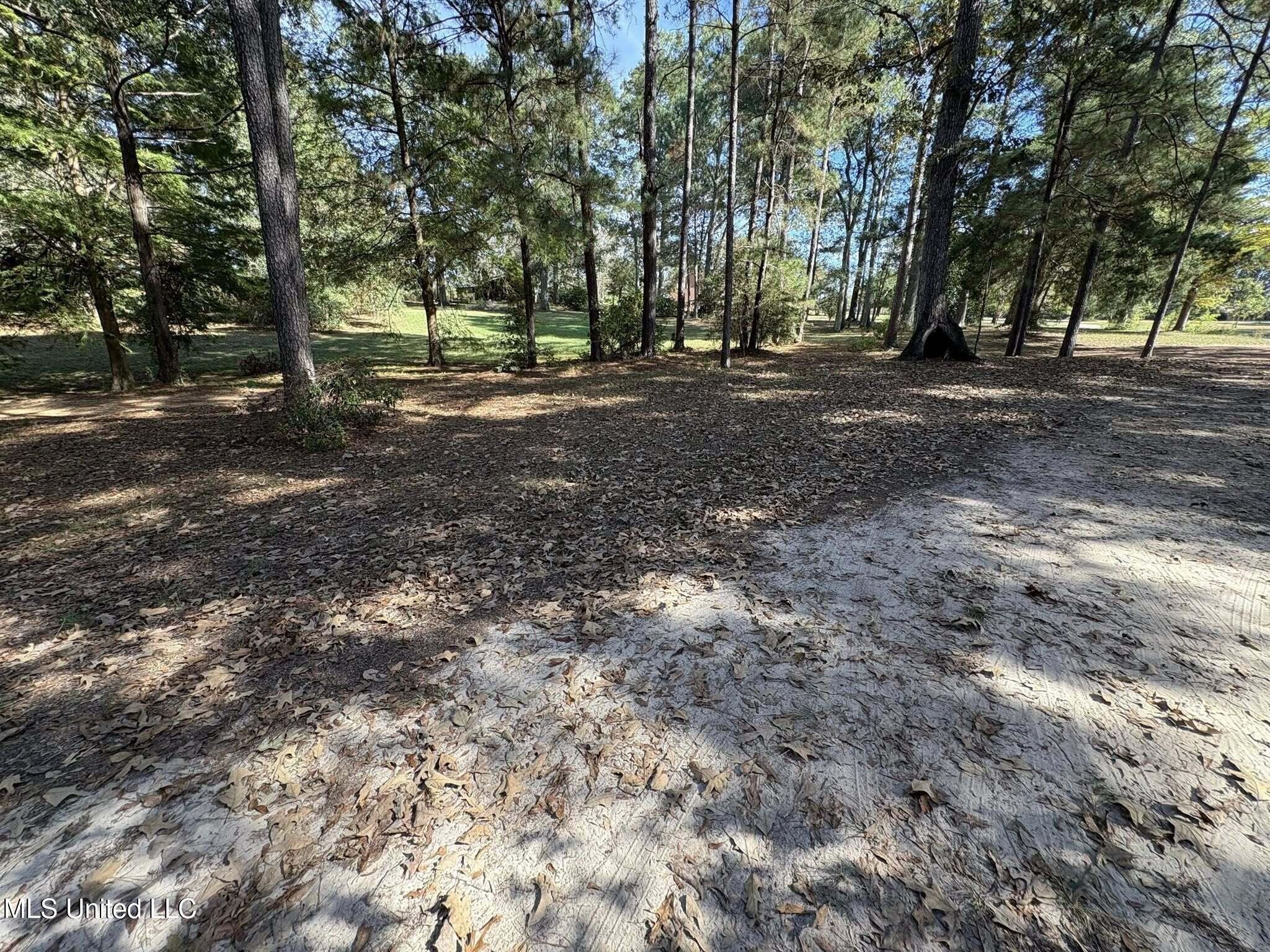 104 Matthew Johnson Road Wiggins, MS 39577 - Photo 28 of 37 driveway