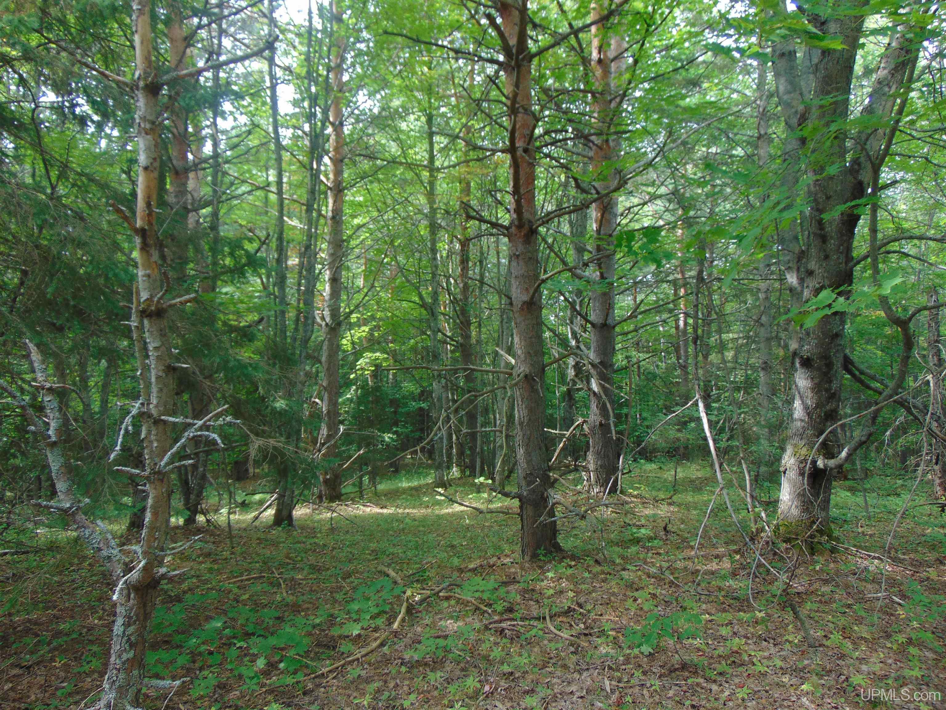 15 Coles Creek Road Atlantic Mine, MI 49905 - Photo 24 of 31