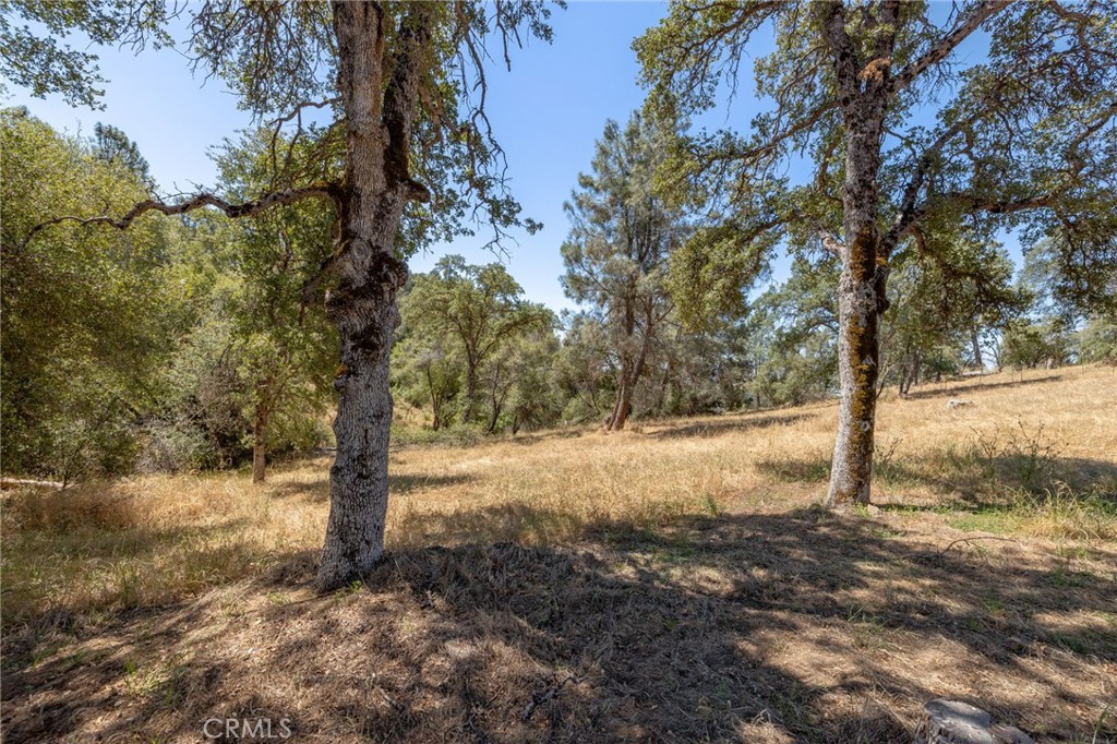 4911 Ashworth Road Mariposa, CA 95338 - Photo 51 of 64