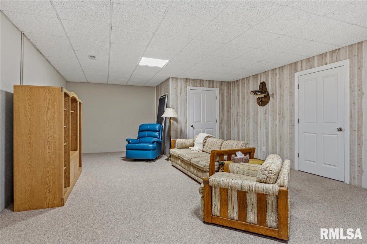 5635 Wagon Ford Road Chatham, IL 62629 - Photo 41 of 65