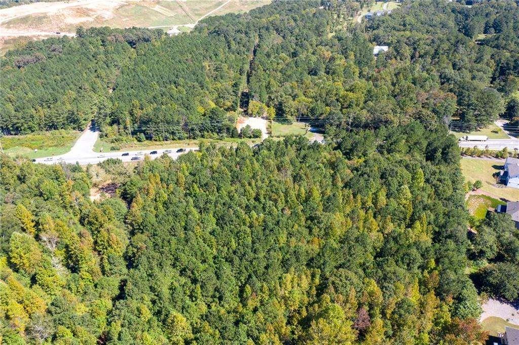 13530 Old Chadwick Lane Roswell, GA 30075 - Photo 6 of 10 a view of a forest with a tree