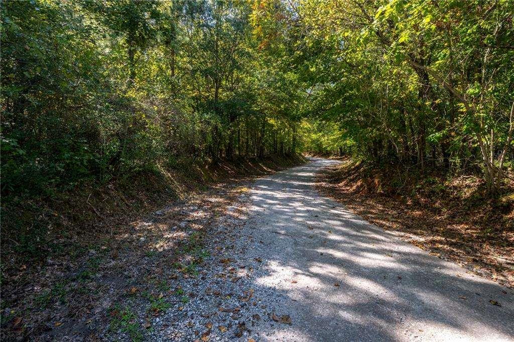 13530 Old Chadwick Lane Roswell, GA 30075 - Photo 8 of 10 a view of a forest with trees in the background