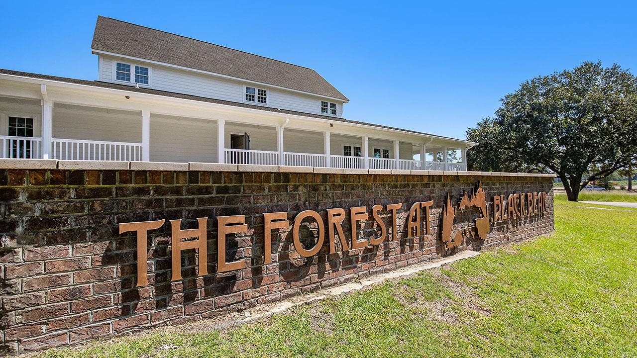 276 Long Beard Way Loris, SC 29569 - Photo 22 of 40