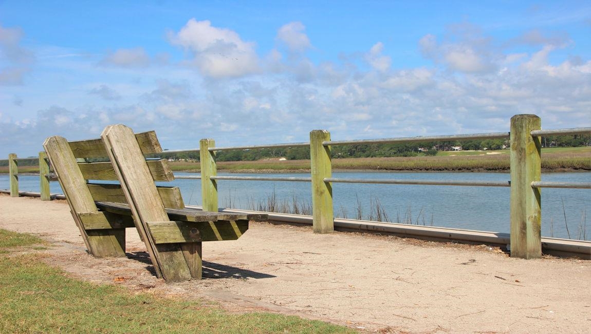 276 Long Beard Way Loris, SC 29569 - Photo 40 of 40