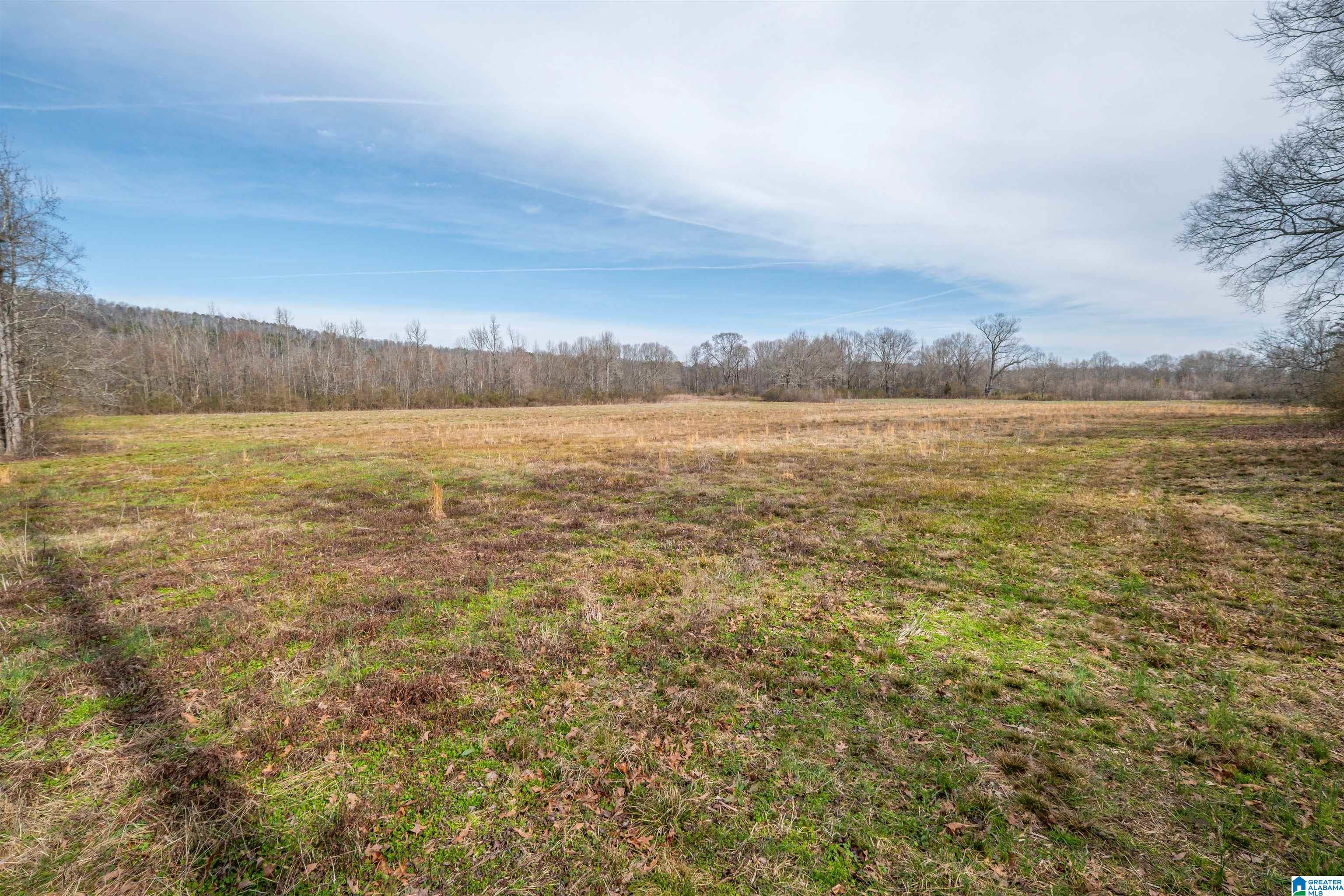 329-acres Ragan Chapel Road Ohatchee, AL 36271 - Photo 30 of 42 Gallery Image 30