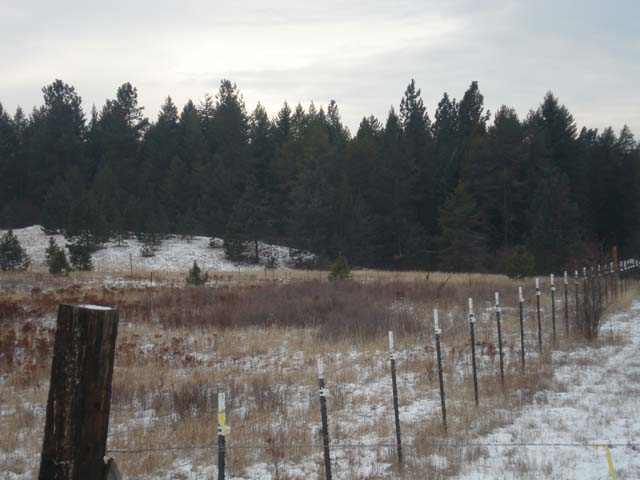 0 North Scotts Ridge Lane Chattaroy, WA 99003 - Photo 3 of 4